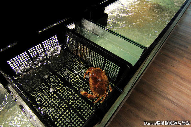 『桃園火鍋推薦』方圓涮涮屋(桃園大興店)★高CP值人氣鍋物大盤肉強勢插旗藝文特區/生猛海鮮超狂帝王蟹波士頓龍蝦平價高級肉專賣