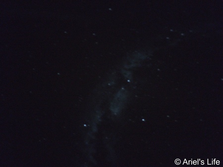 IMG_8802.JPG IMG_8802.JPG