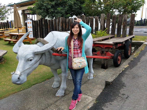 瓜瓜園地瓜生態故事館:【台南新化景點】瓜瓜園地瓜生態故事館~以地瓜為主題的觀光工廠