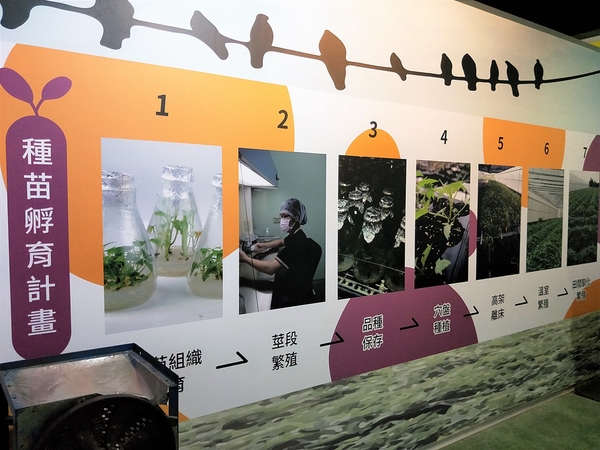 瓜瓜園地瓜生態故事館:【台南新化景點】瓜瓜園地瓜生態故事館~以地瓜為主題的觀光工廠