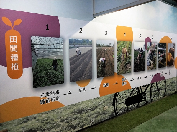 瓜瓜園地瓜生態故事館:【台南新化景點】瓜瓜園地瓜生態故事館~以地瓜為主題的觀光工廠