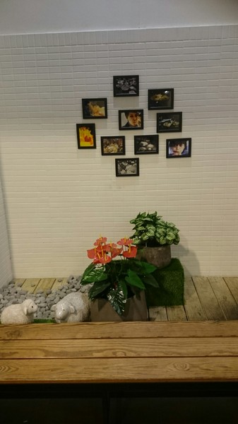 好好鍋：高雄~好好鍋~日式涮涮鍋 優質大盤肉~肉多新鮮~堅持天然好食材~