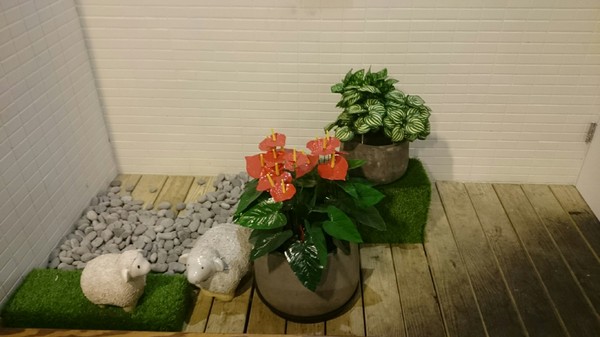 好好鍋：高雄~好好鍋~日式涮涮鍋 優質大盤肉~肉多新鮮~堅持天然好食材~