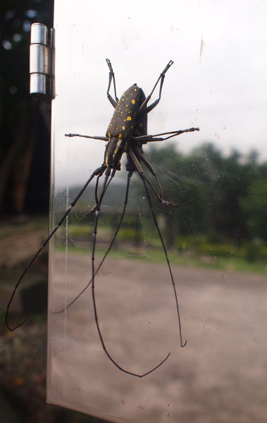 P6027374-1（已拖移）