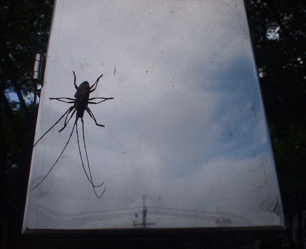 P6027373-1（已拖移）