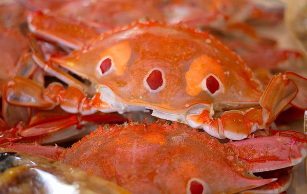 287911_4109634753509_1305741732_o-1 287911_4109634753509_1305741732_o-1