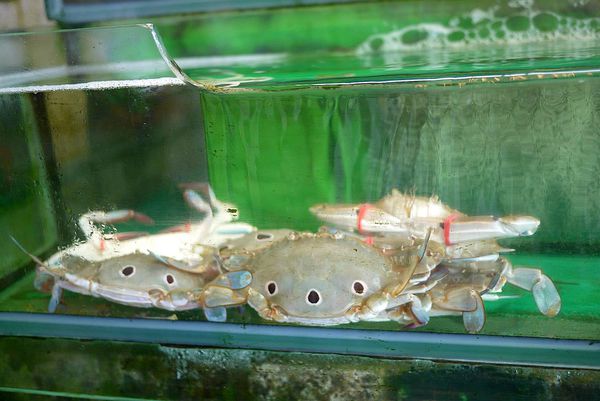 329250_4109624633256_295145579_o 329250_4109624633256_295145579_o