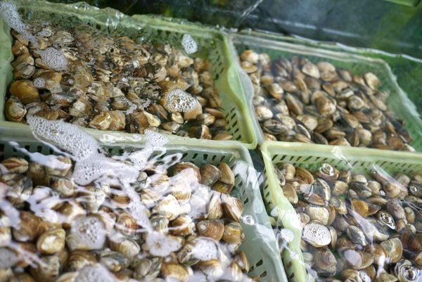 210682_4109625553279_2122916559_o 210682_4109625553279_2122916559_o