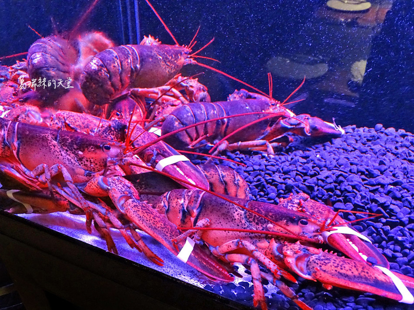 艾朋牛排餐酒館-微風南山附近美食 (33).jpg