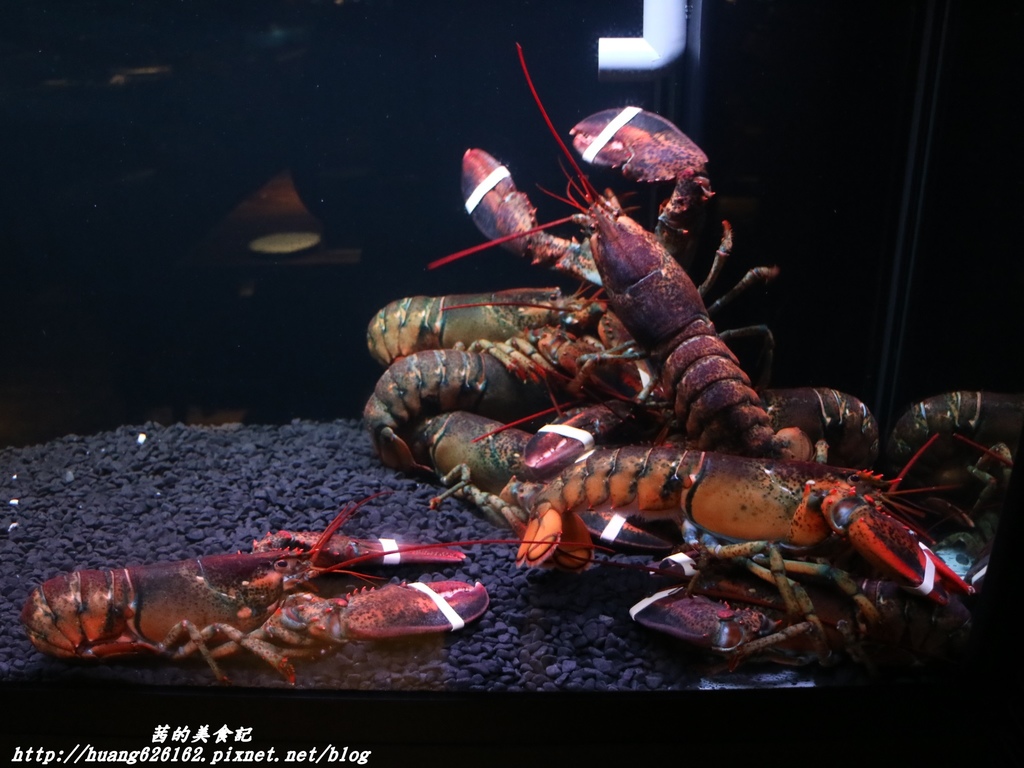 IMG_3340.JPG IMG_3340.JPG