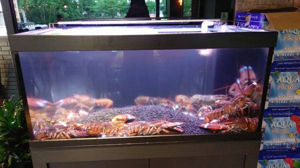 À Point Steak & Bar 艾朋牛排餐酒館：À Point Steak & Bar 艾朋牛排餐酒館-墨賞旗下新品牌 信義區高級餐酒館  服務、環境、餐點都超有水準