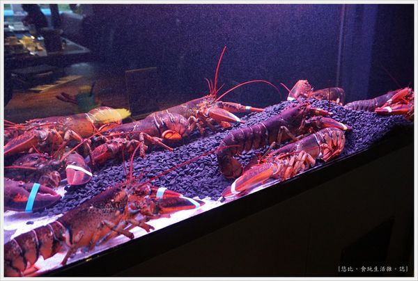 艾朋牛排-22.JPG 艾朋牛排-22.JPG