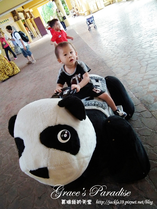 DSCF3706_nEO_IMG.jpg DSCF3706_nEO_IMG.jpg