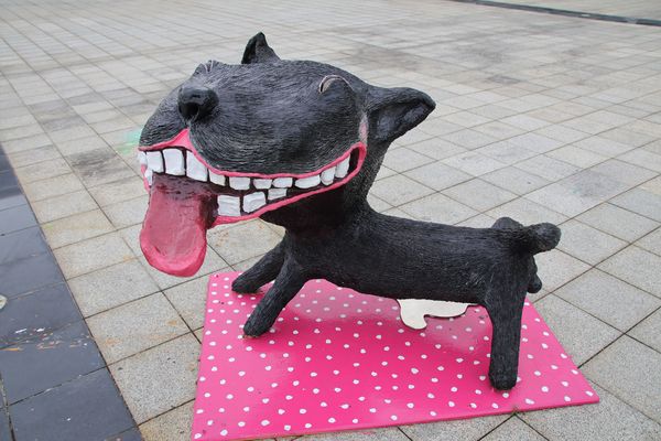 可愛逗趣南科管理局台灣犬:【台南景點】可愛逗趣南科管理局台灣犬~小黑都很有魅力,有點心機的表情可愛又逗趣,那耍寶耍酷的模樣,很讓人生疼,淘氣卻又帥勁十足,讓人又愛又恨的