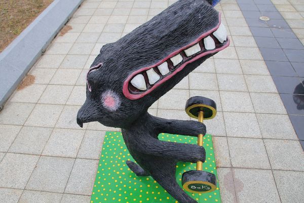 可愛逗趣南科管理局台灣犬:【台南景點】可愛逗趣南科管理局台灣犬~小黑都很有魅力,有點心機的表情可愛又逗趣,那耍寶耍酷的模樣,很讓人生疼,淘氣卻又帥勁十足,讓人又愛又恨的