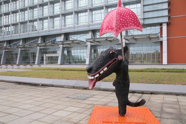 可愛逗趣南科管理局台灣犬:【台南景點】可愛逗趣南科管理局台灣犬~小黑都很有魅力,有點心機的表情可愛又逗趣,那耍寶耍酷的模樣,很讓人生疼,淘氣卻又帥勁十足,讓人又愛又恨的