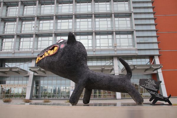 可愛逗趣南科管理局台灣犬:【台南景點】可愛逗趣南科管理局台灣犬~小黑都很有魅力,有點心機的表情可愛又逗趣,那耍寶耍酷的模樣,很讓人生疼,淘氣卻又帥勁十足,讓人又愛又恨的