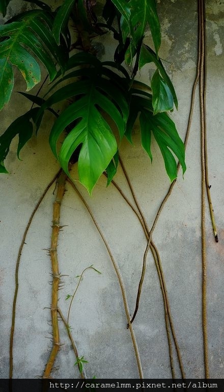 DSC07398.jpg DSC07398.jpg