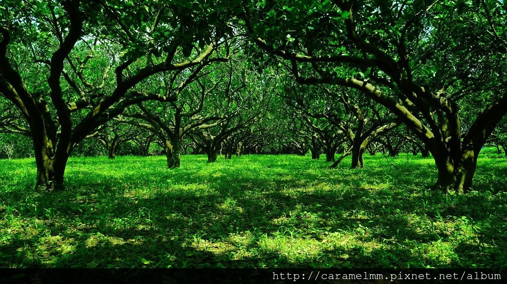 DSC07468.jpg DSC07468.jpg