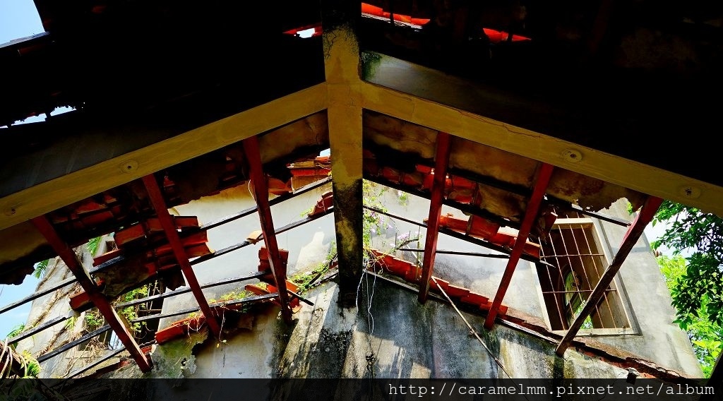 DSC07407.jpg DSC07407.jpg