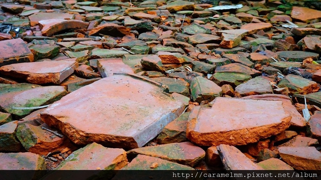 DSC07444.jpg DSC07444.jpg