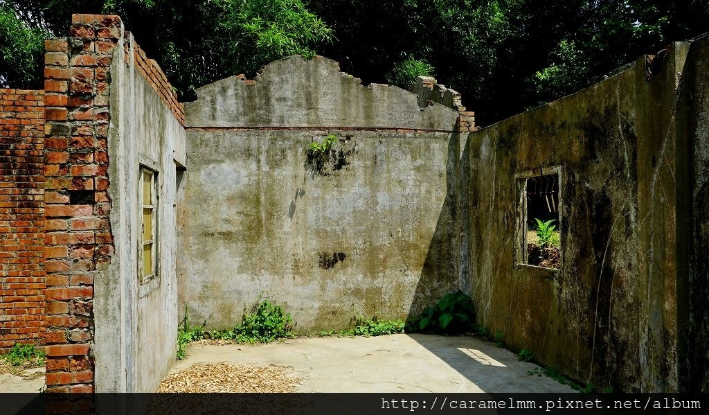 DSC07386.jpg DSC07386.jpg