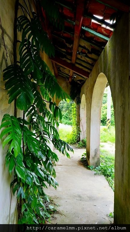 DSC07452.jpg DSC07452.jpg