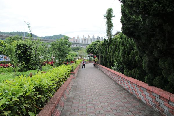 泰山繡球花步道：【新北市景點】泰山黎明步道花園繡球花~季節限定小小的景點，免費的小確幸