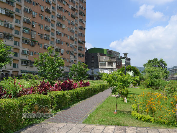 泰山繡球花步道10-黎明步道一景