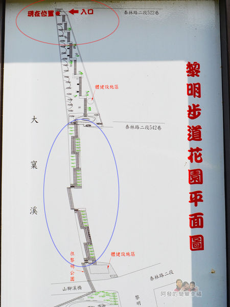 泰山繡球花步道08-黎明步道花園平面圖