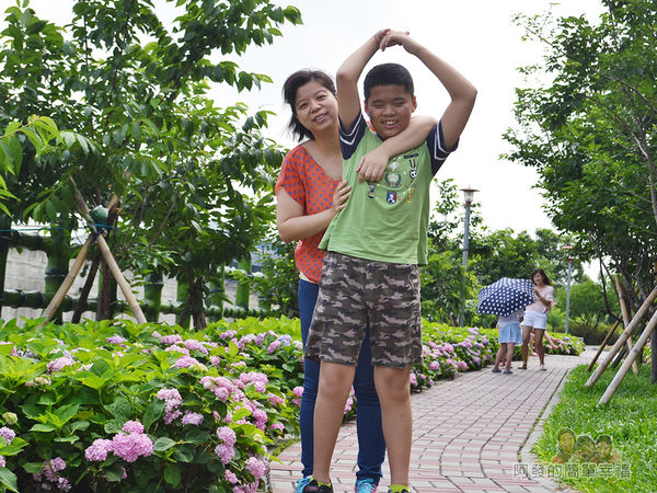 泰山繡球花步道25-開心的母子
