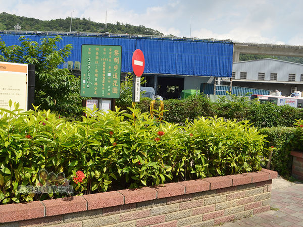 泰山繡球花步道07-黎明步道花園