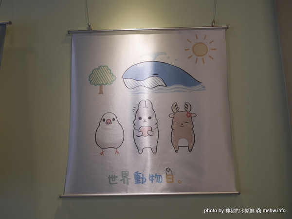 ㄇㄚˊ幾兔 主題餐廳:【食記】新北ㄇㄚˊ幾兔主題餐廳-麻吉兔廚房 Machico Kitchen@板橋大遠百&板橋車站 : 只推義大利麵, 份量多些會更好