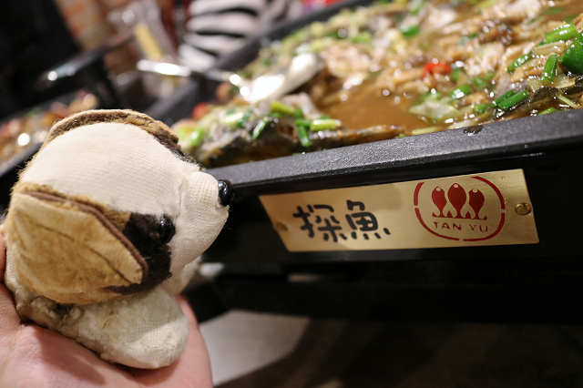 IMG_6934.jpg IMG_6934.jpg