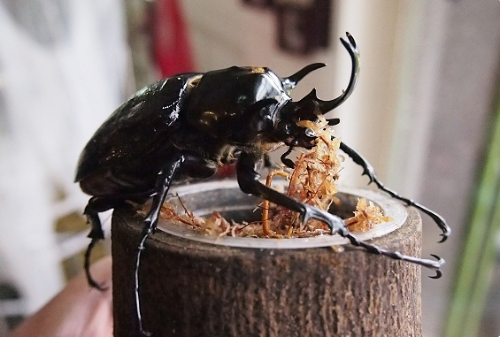 螢幕快照 2014-11-23 下午10.35.35 螢幕快照 2014-11-23 下午10.35.35