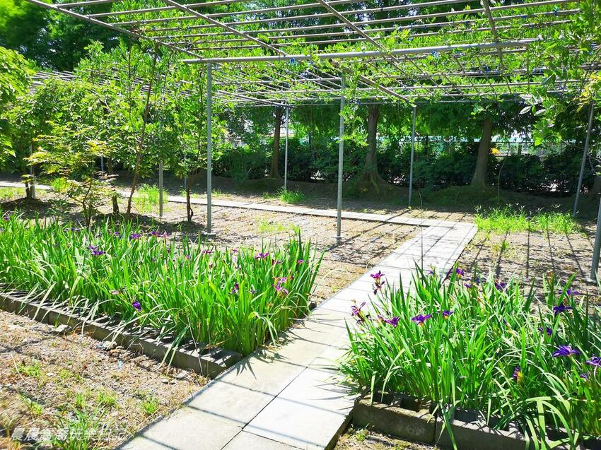 宜蘭親子景點惠欣綠花園