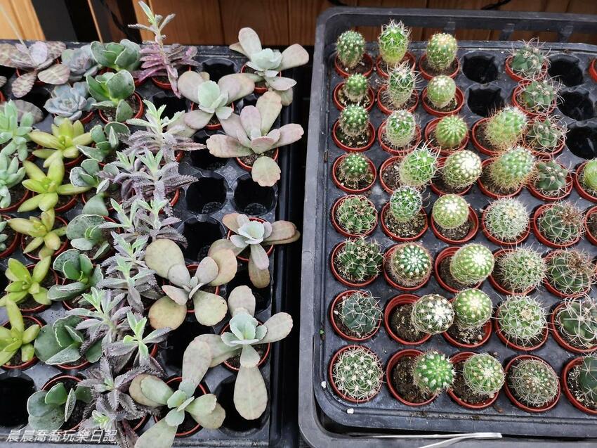 宜蘭親子景點惠欣綠花園