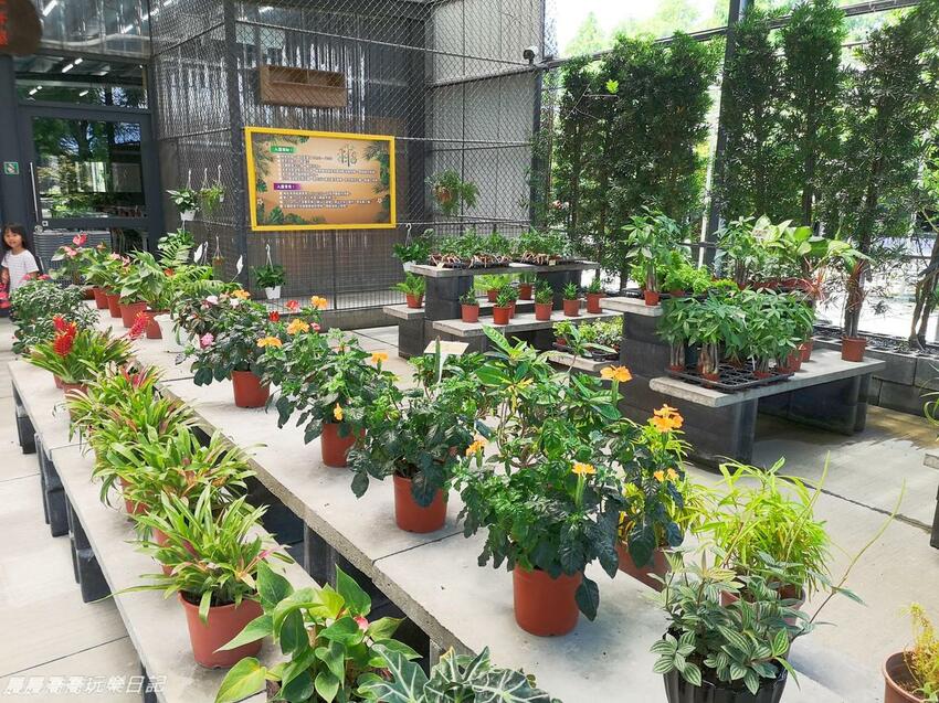 宜蘭親子景點惠欣綠花園