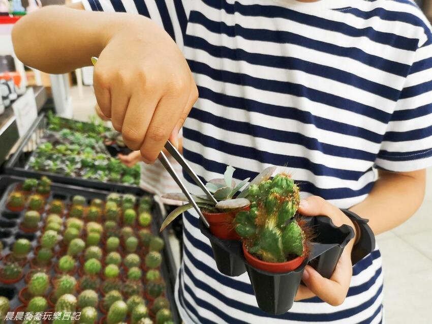 宜蘭親子景點惠欣綠花園
