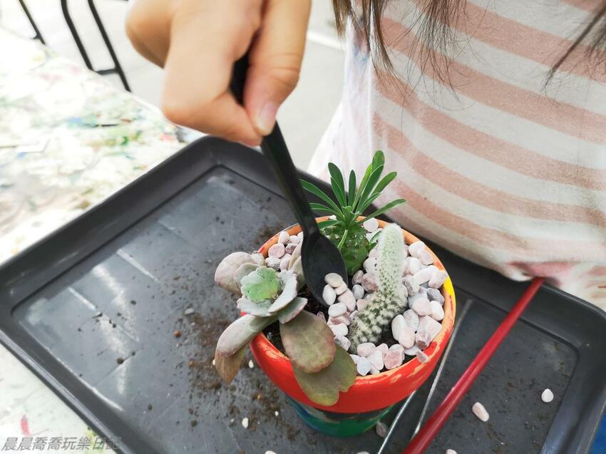 宜蘭親子景點惠欣綠花園