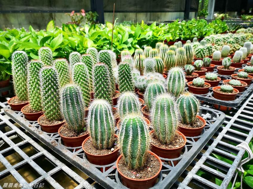 宜蘭親子景點惠欣綠花園