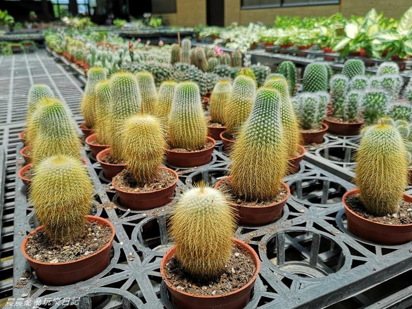 宜蘭親子景點惠欣綠花園