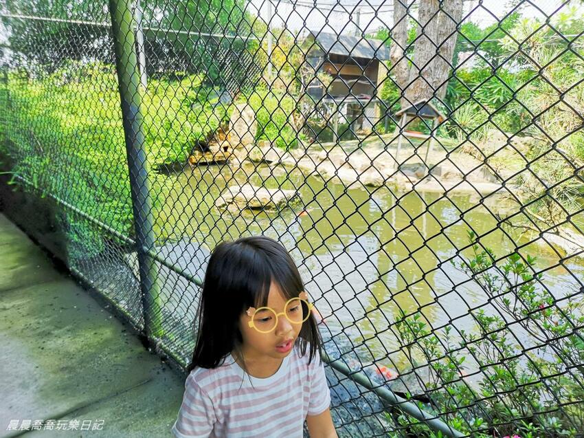 宜蘭親子景點惠欣綠花園