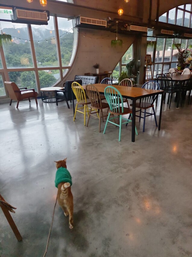 374186.jpg - 【台北.深坑】ARC CAFE玻璃屋+清水模景觀咖啡廳。寵物友善可落地可坐椅子+超寬大超舒適用餐環境