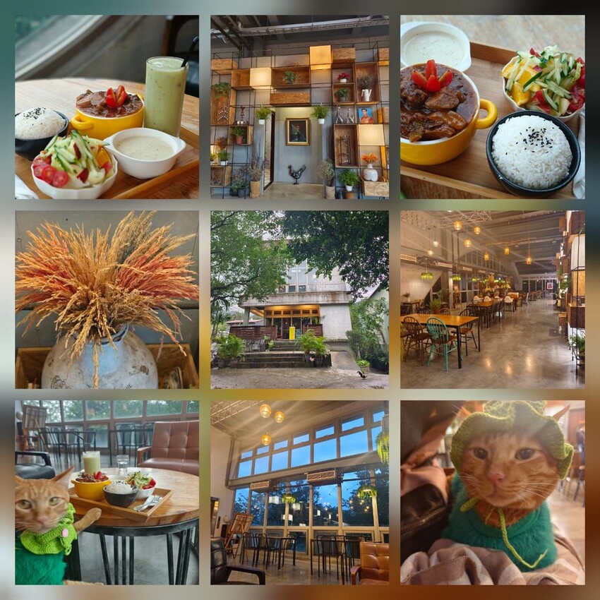 374165.jpg - 【台北.深坑】ARC CAFE玻璃屋+清水模景觀咖啡廳。寵物友善可落地可坐椅子+超寬大超舒適用餐環境