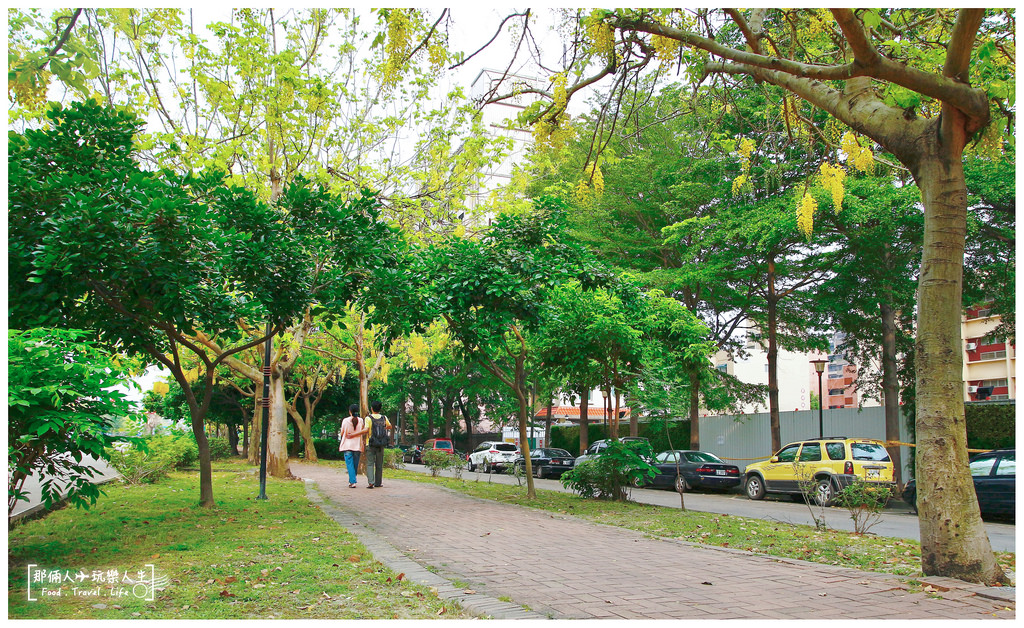 中興大學-阿勃勒4 拷貝