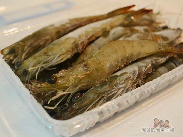 阿源師紅尾蝦05-開盒