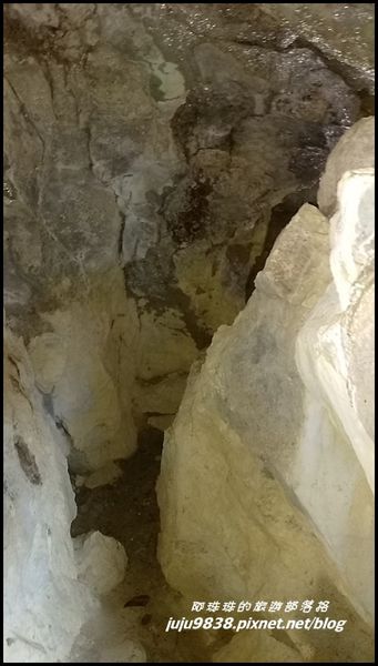 關西蝙蝠洞21.jpg