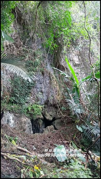 關西蝙蝠洞22.jpg