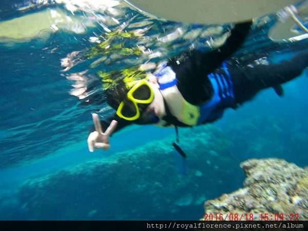 蘭嶼浮潛7.jpg